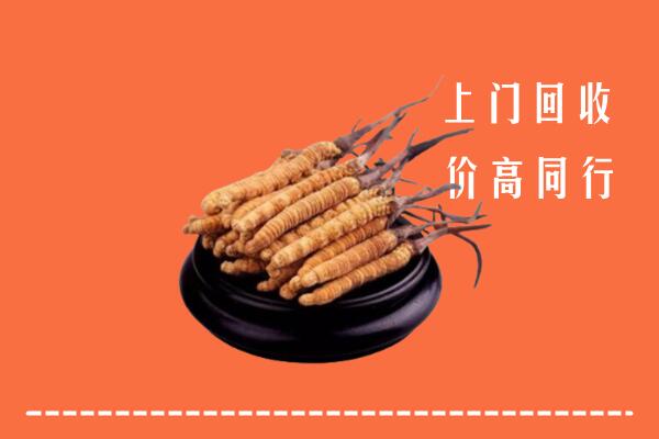 高价求购：阜南县回收散虫草