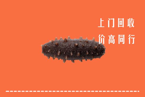 阜南县回收海参